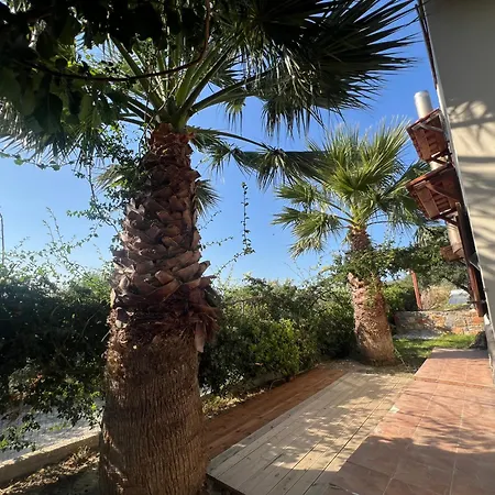 Apartment In Nature