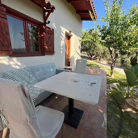 Apartment In Nature
